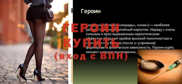 СК Ельня