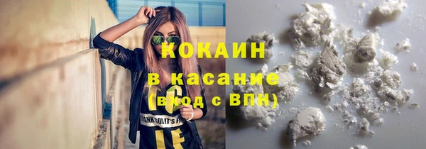 PSILOCYBIN Елабуга
