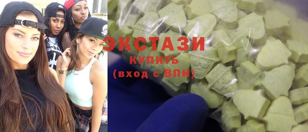 СК Ельня