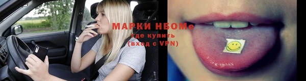 СК Ельня