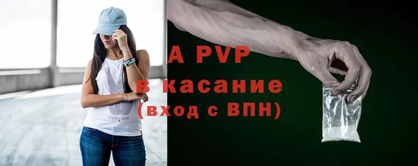 СК Ельня