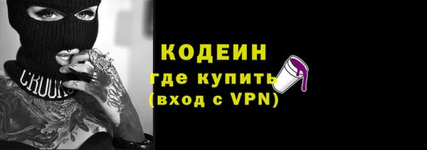 СК Ельня