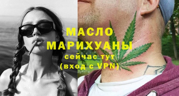 СК Ельня