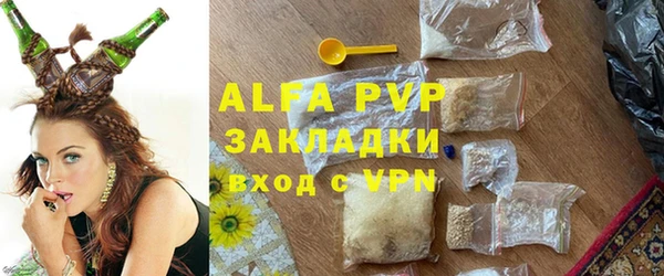 СК Ельня