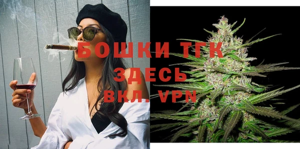 прущие грибы Болхов