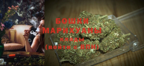 PSILOCYBIN Елабуга