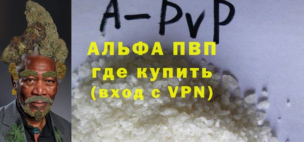 PSILOCYBIN Елабуга