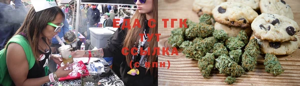 PSILOCYBIN Елабуга