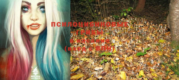 СК Ельня