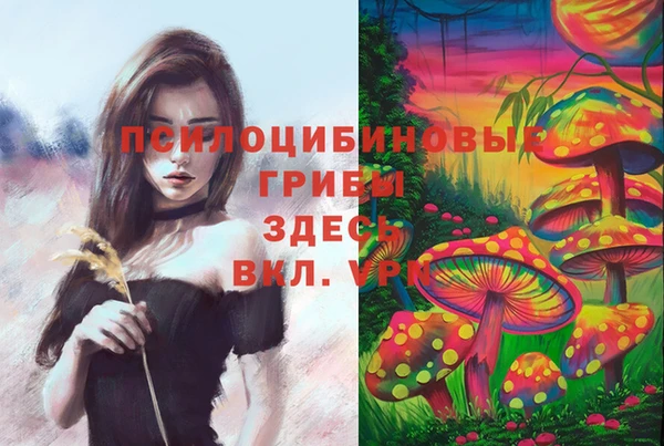 мдма Елизово