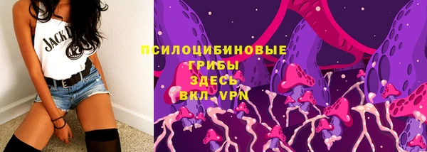 PSILOCYBIN Елабуга